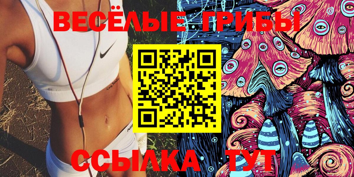 Лесозаводск  Псилоцибиновые грибы прущие грибы  Вход с VPN 